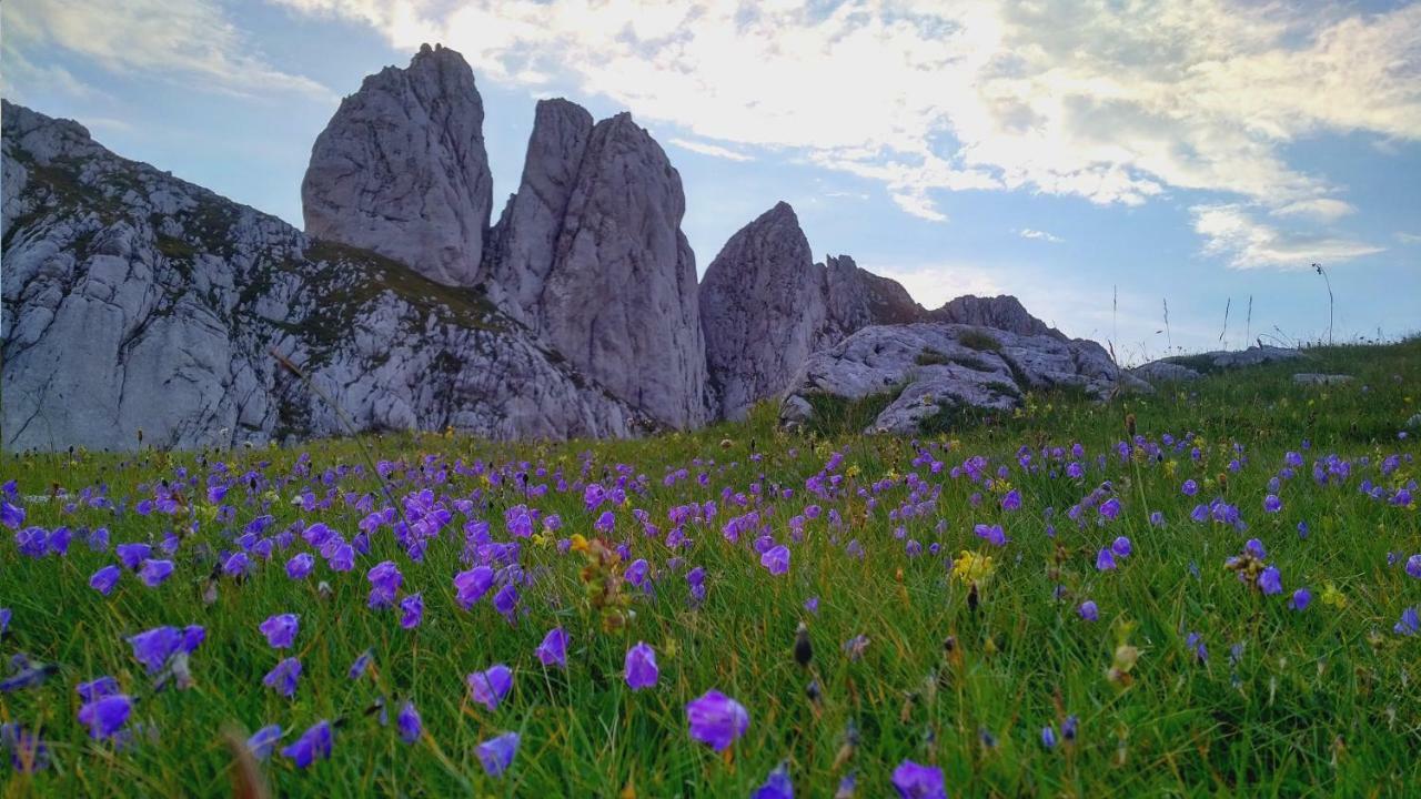 Apartments Durmitor Zabljak  Ngoại thất bức ảnh