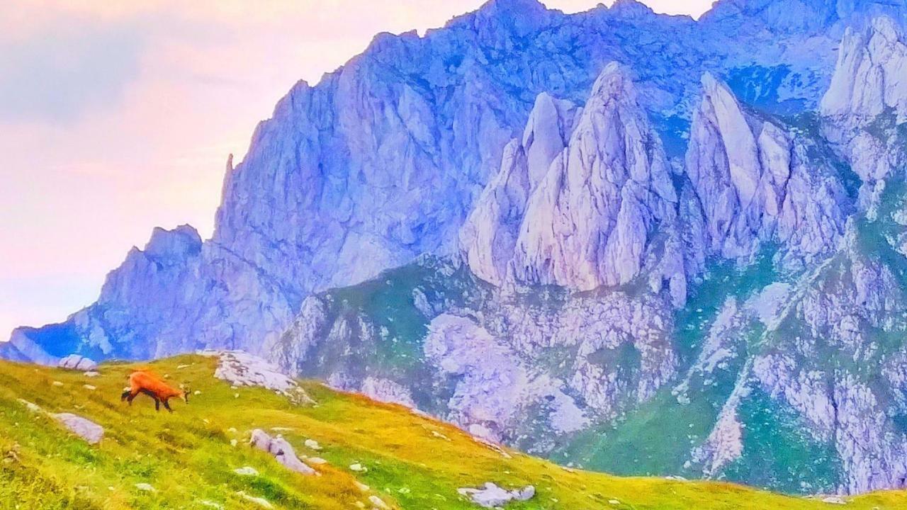 Apartments Durmitor Zabljak  Ngoại thất bức ảnh